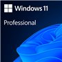 Microsoft Windows Professional 11 64-bit All Languages Online Product Key License 1 License Downloadable ESD NR