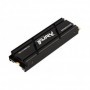 SSD Kingston SFYSK Renegade, 2TB, M2 NVMe , PCI Express 3.0 Heatsink