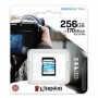 Card de Memorie SDXC Kingston Canvas GO Plus, 256GB, Class 10