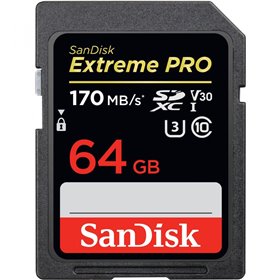 Card de Memorie SD SanDisk 64Gb, Class 10